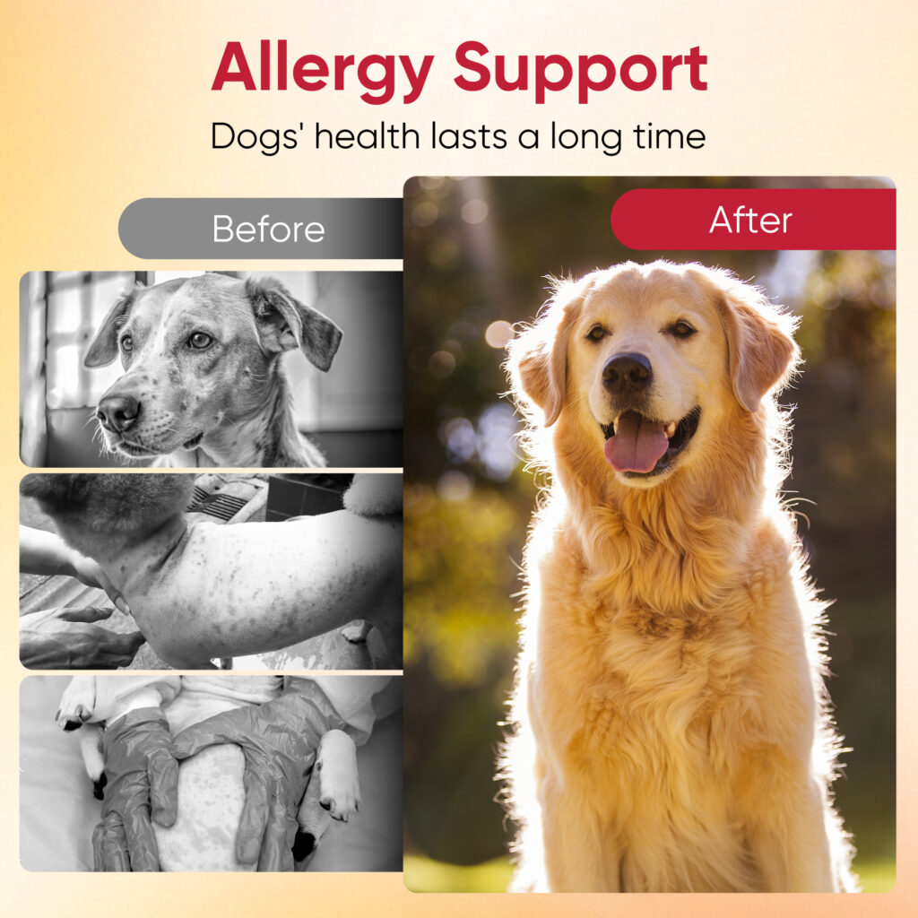 Dog Allergy Chews - Flea Allergy Dermatitis in Dogs