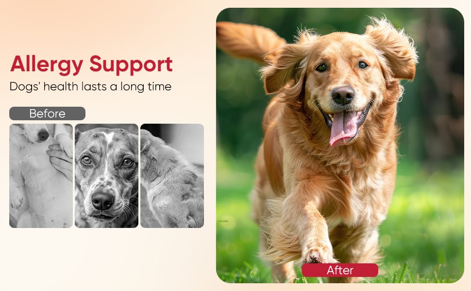 Dog Allergy Chews - Allergy Support