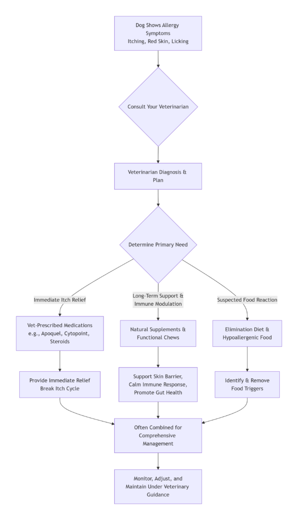 What Can I Give My Dog for Allergies?
