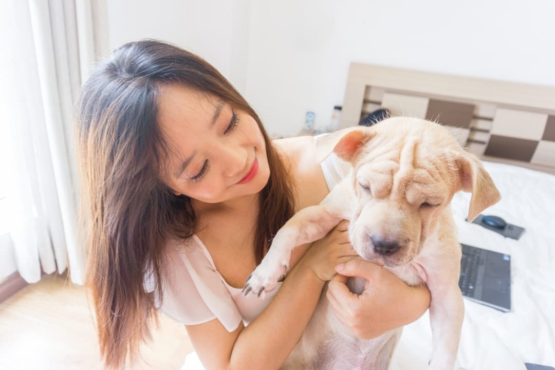 How to Relieve Dog Allergies: Safe & Effective Tips