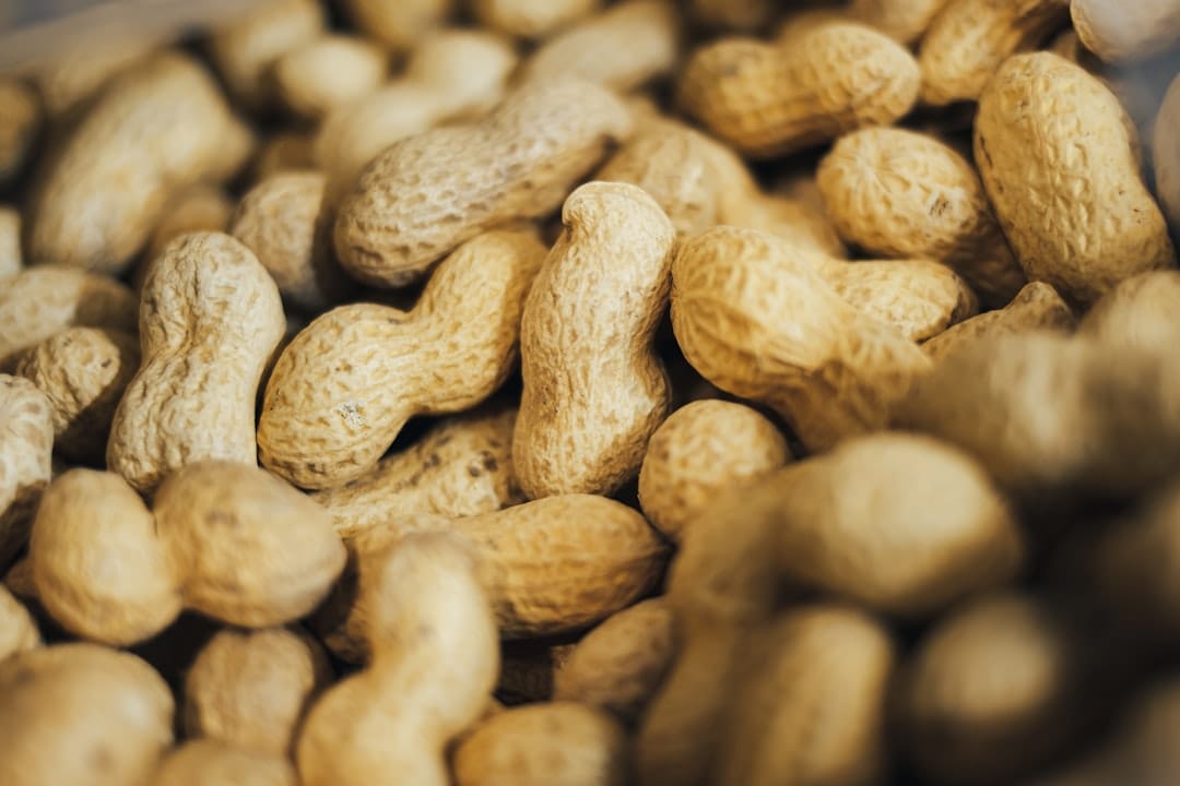 Can Dogs Have Peanut Allergies? 2026 Vet Guide for Pet Parents