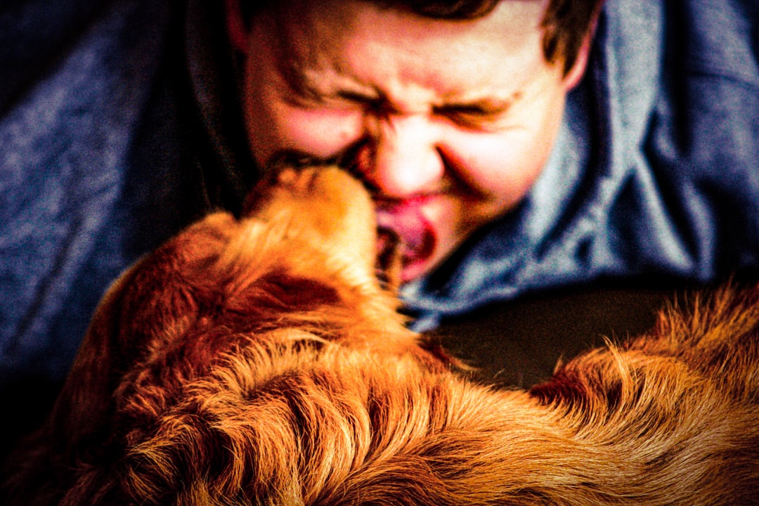 Can Dogs Take Allergy Medication? 2026 Safety Guide